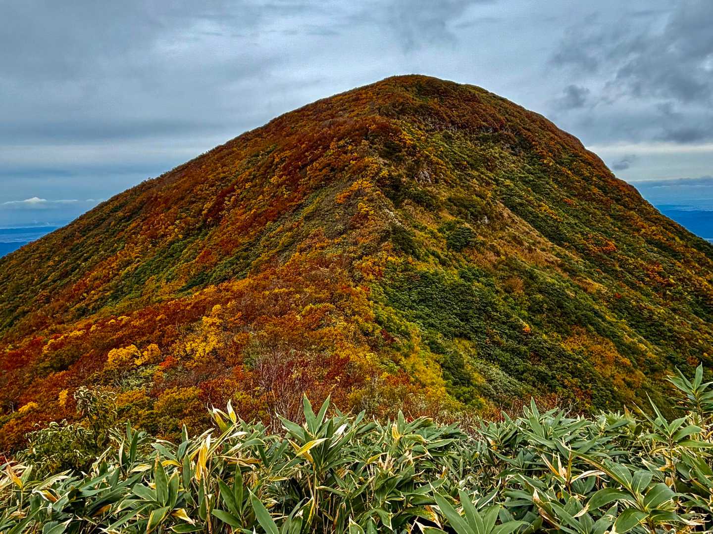 これから登る大岳
今日は（私を除いて）ピークを沢山取りたい
欲張りさんたちの集まり🤭