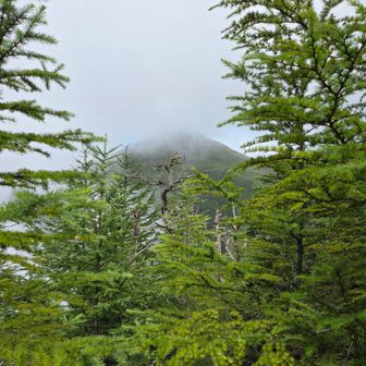 左手に編笠⛰️見える