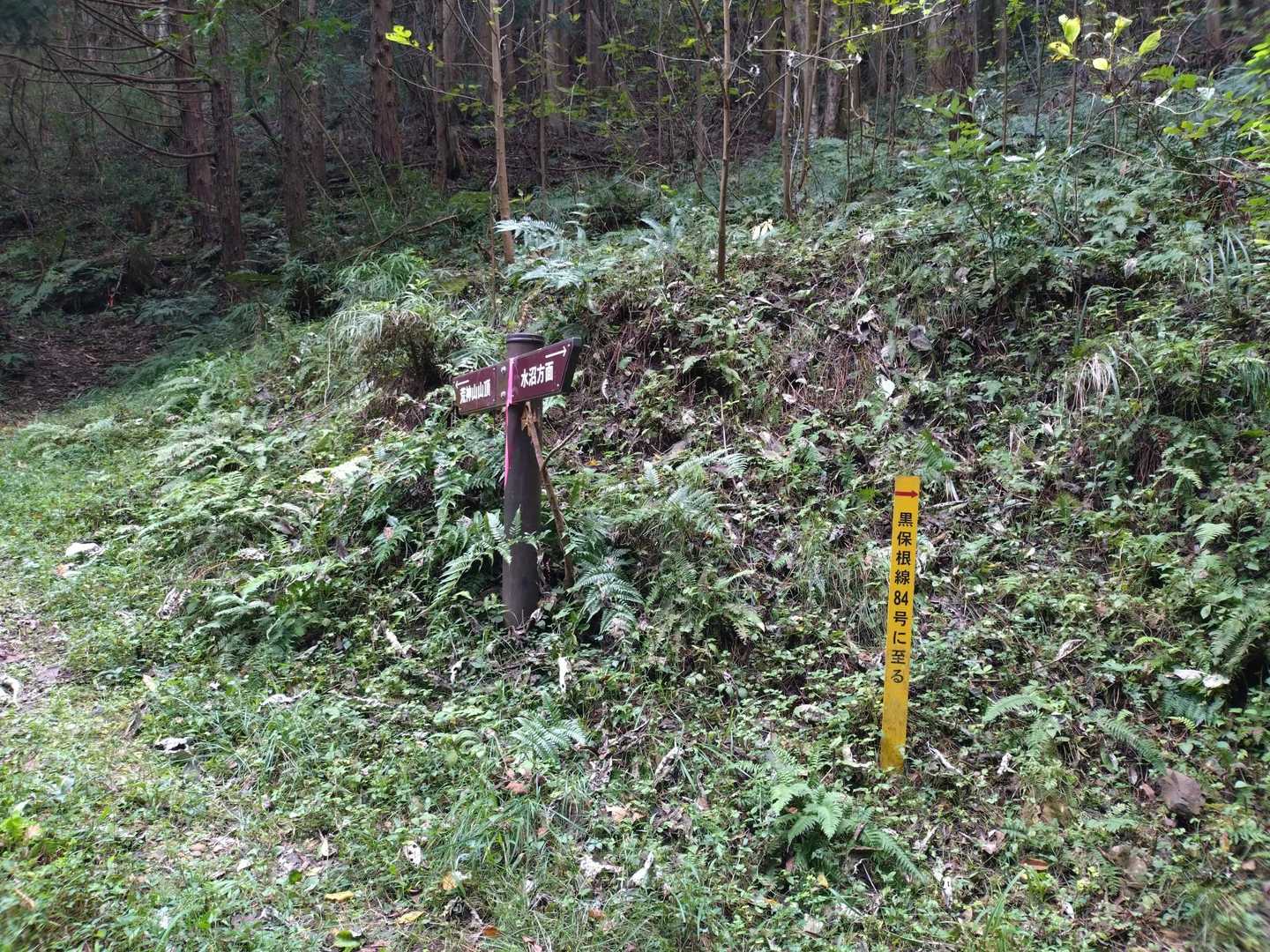 久しぶりの東電⚡️さんの保守道かな？

でもそっち🦑無いです〜😄
