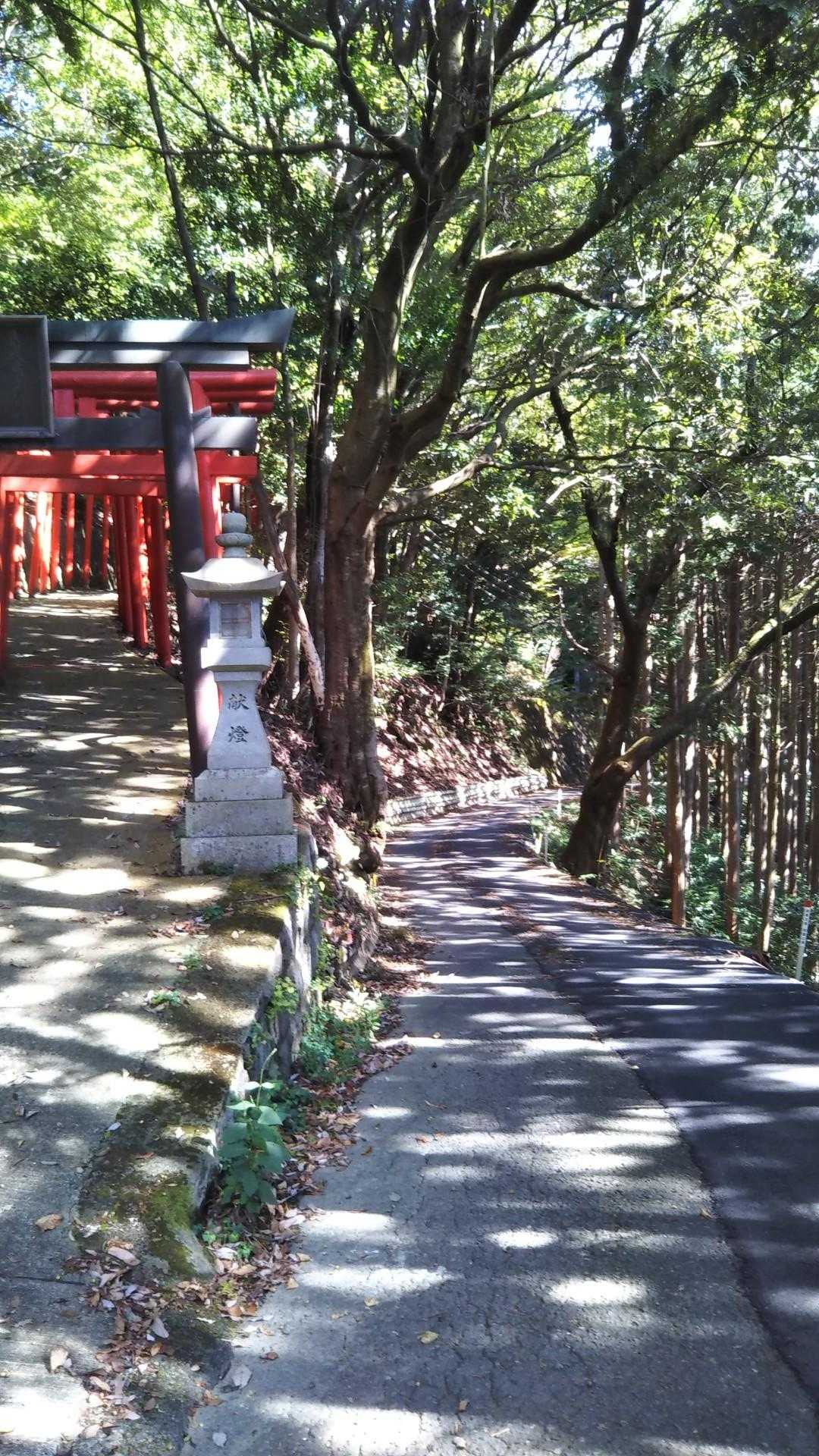 右側の林道は行きの道
左側に下りてきました