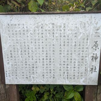 不思議な神社