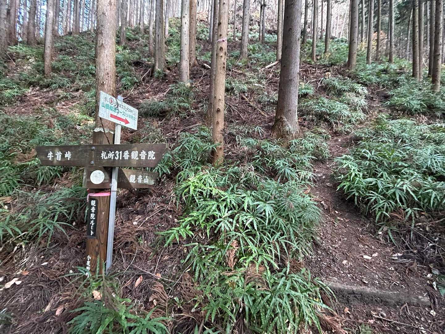 登山道は急登が続きます
