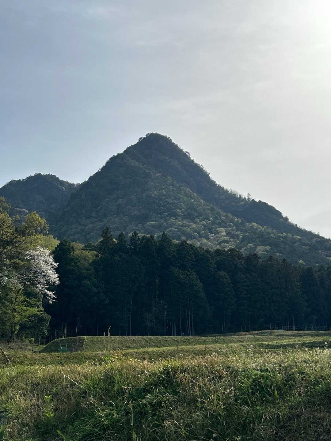 三尾山東峰！
あの山を登ったんだ😲