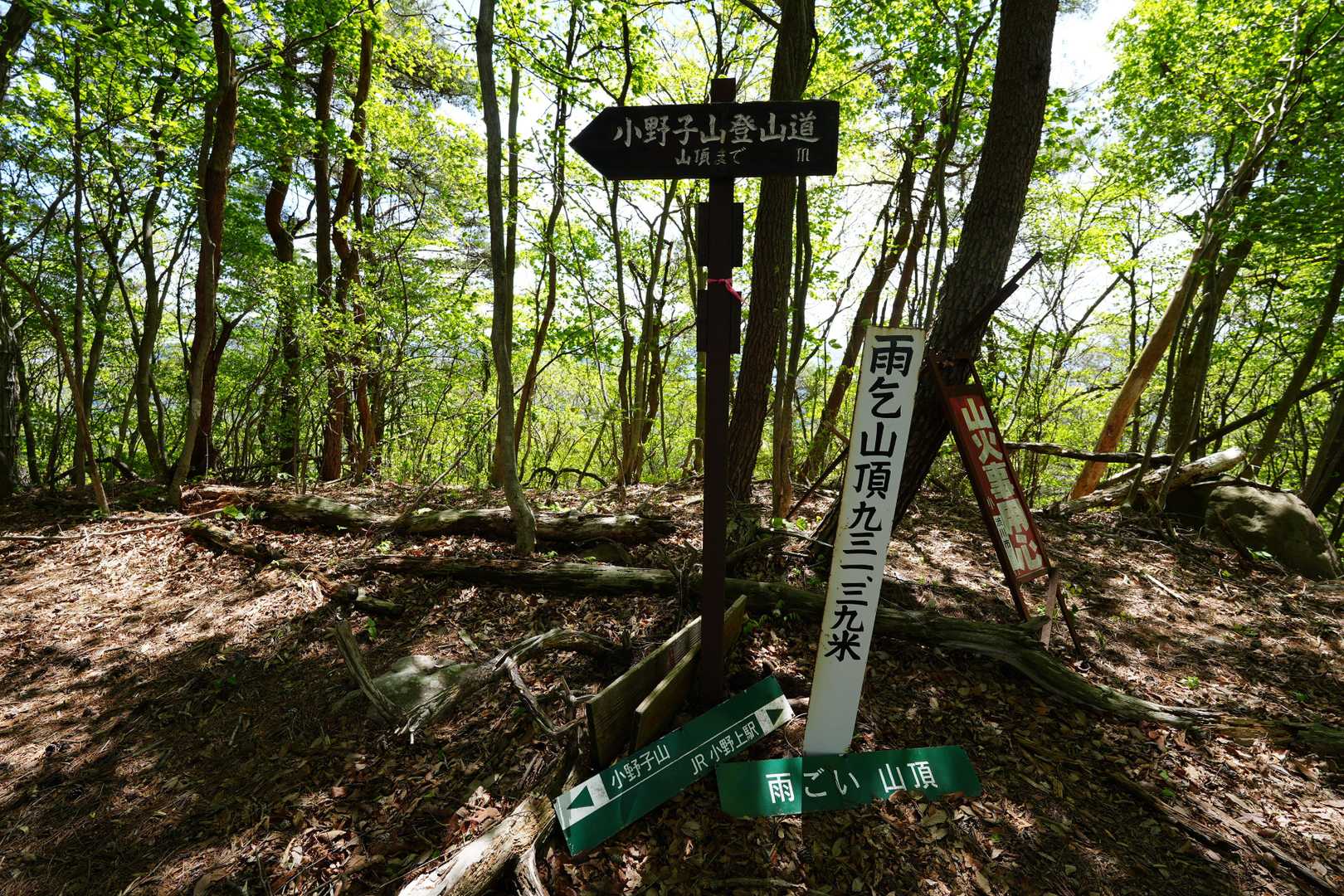 雨乞山-小野子山-中ノ岳-十二ヶ岳 往復コースの写真