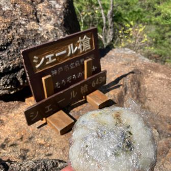 誰もいないので昼ごはんを食べます♪