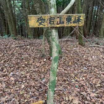 11:愛宕山東峰登頂
眺望なし