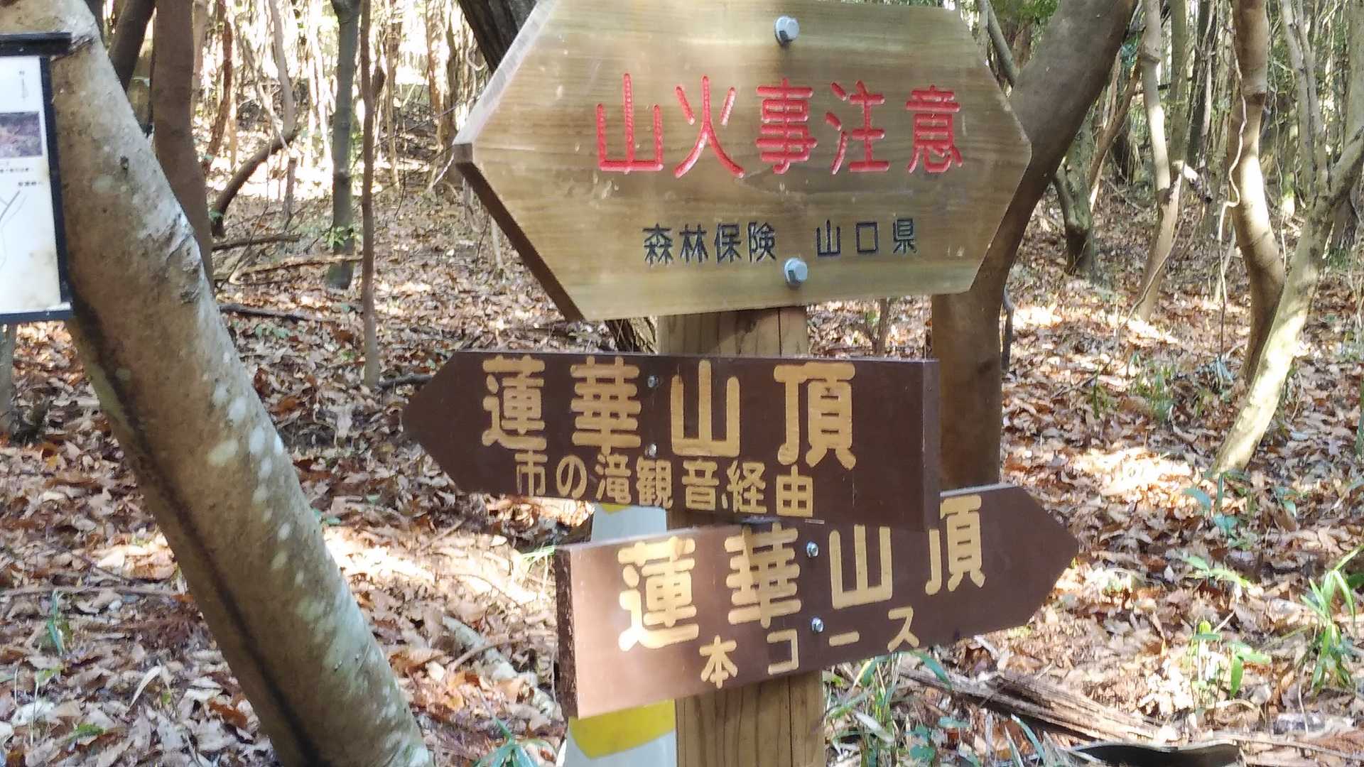 蓮華山 往復コースの写真