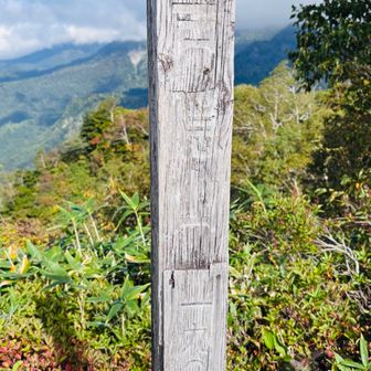 戸隠山登頂🥷
うっす🫥