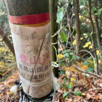 登山道って書いてある。
『奥島山国有林、長命寺山、津田山』
うーん？🧐津田山なのか奥島山なのか。奥島山という山系の津田山なのかな？