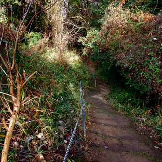 「滑ってください」と言わんばかりの下向きに斜めってるコンクリ階段を注意して降りる