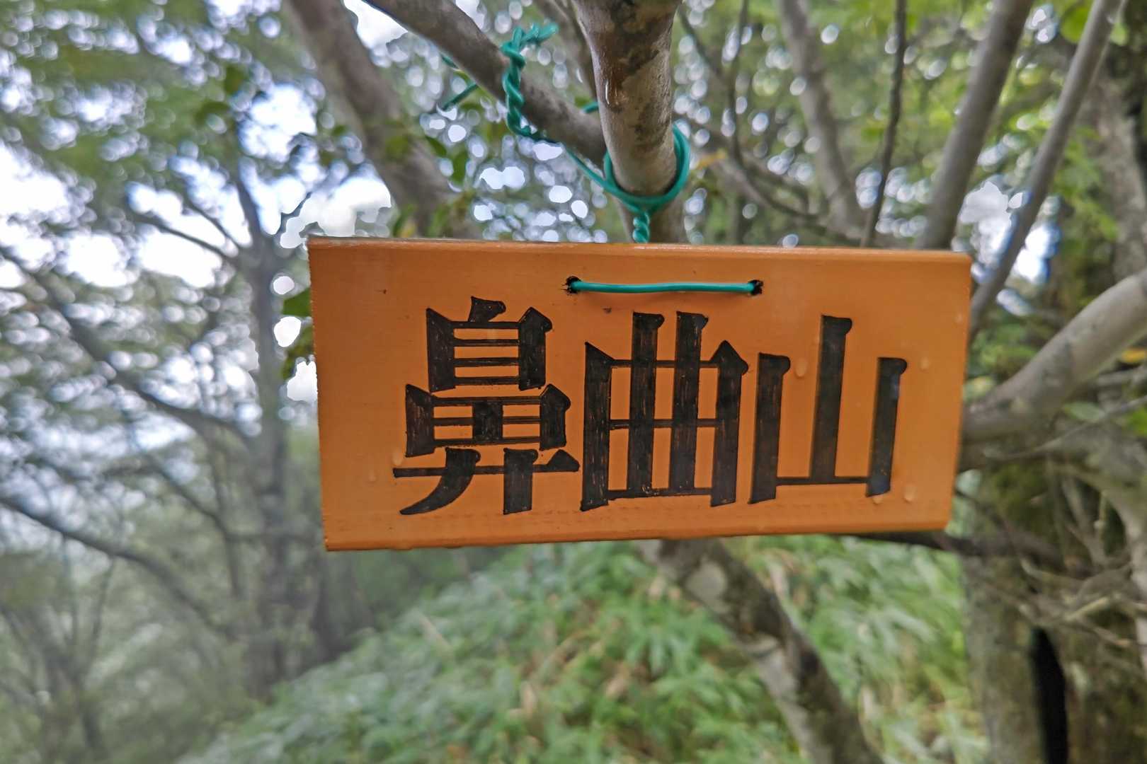 鼻曲山(南1655m)山頂