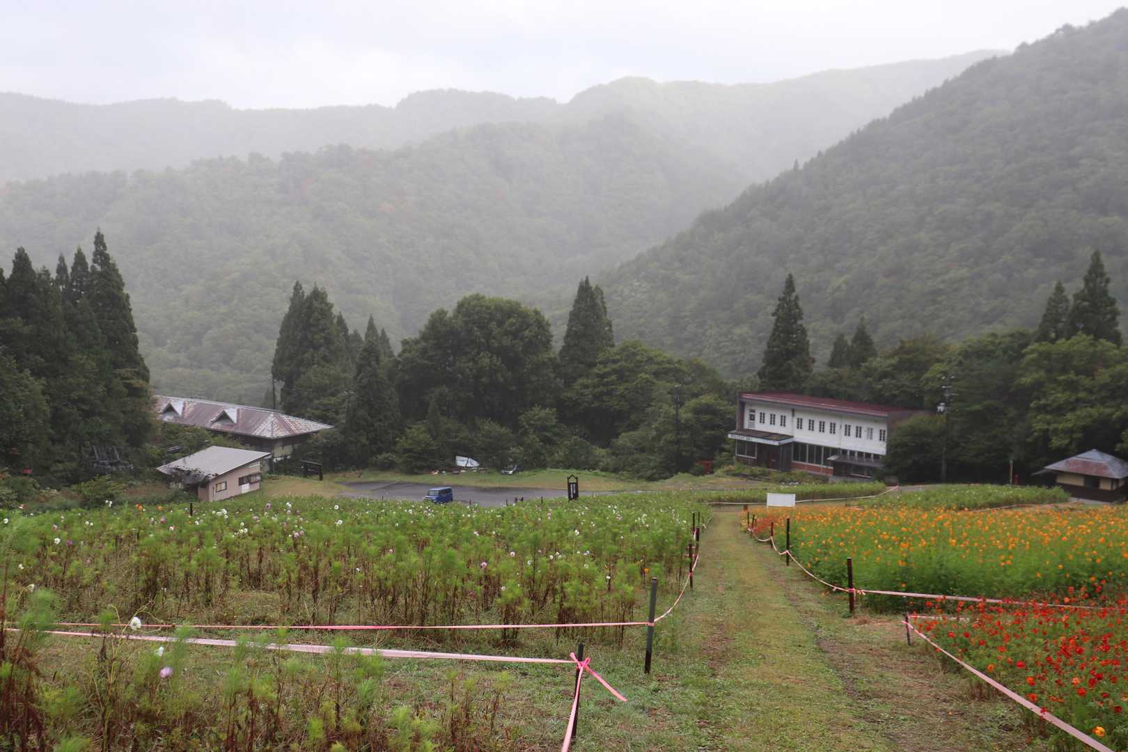 南面白山 往復コースの写真