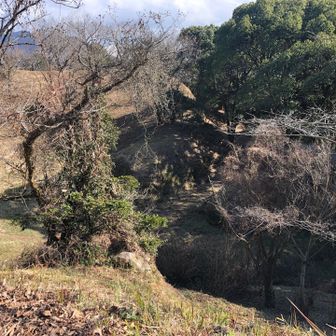 南門、上からみたくて舗装路あるき