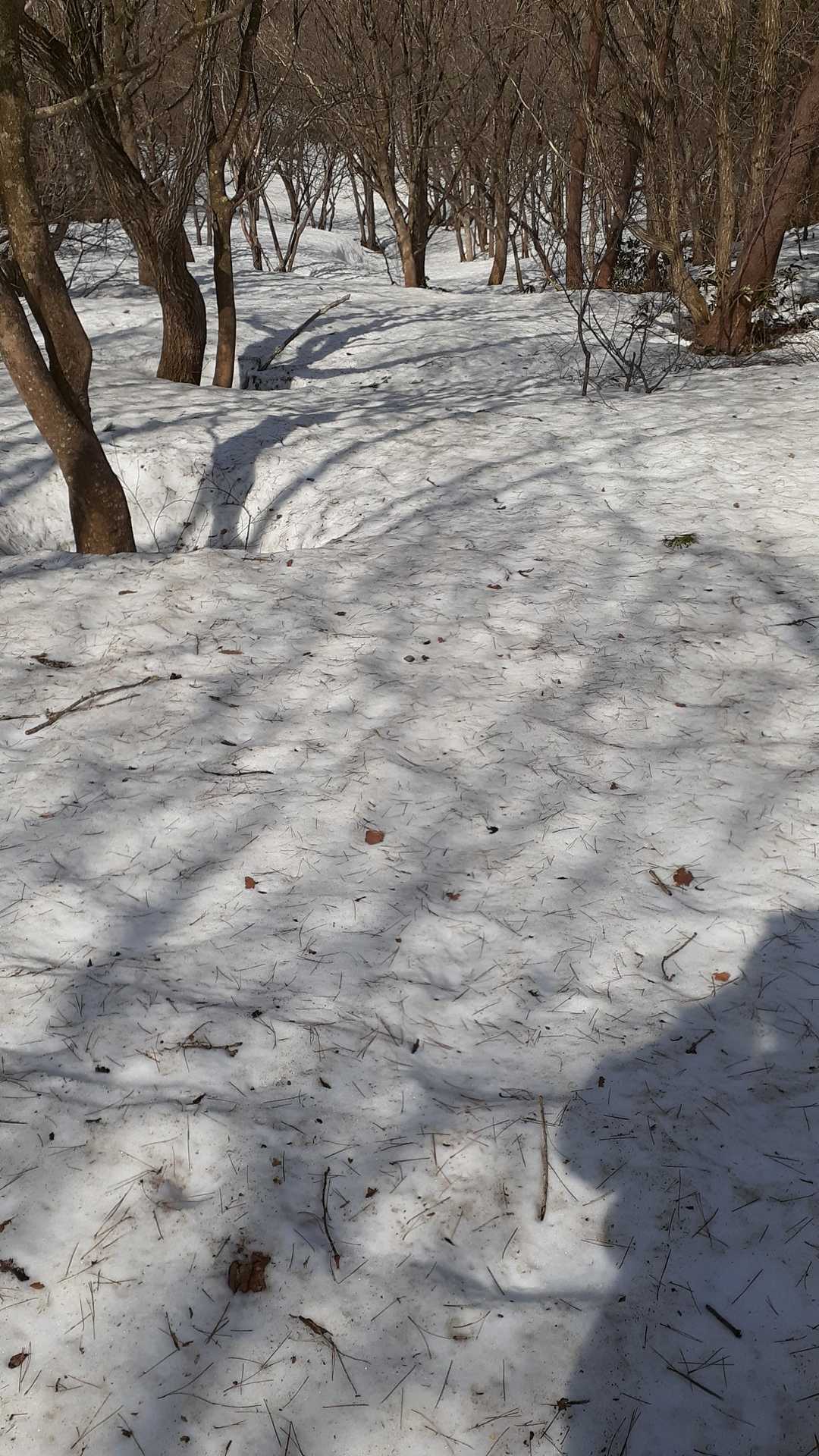 うっわあ❗登山道わからん😭💦💦
雪あんじゃん2