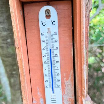 天王山方面への道と合流
ここも32℃