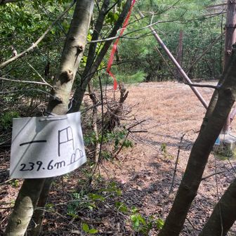 登り切ったところには鉄塔が。
その横の木に山頂プレートがありました。
書かれている標高値は三角点の高さです！⚠️