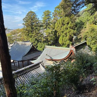 先に参拝した日牟禮八幡宮を上から見ます👀