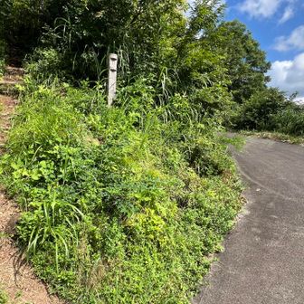 登山口に無事下山
ガスに包まれた残念な山行ではあったけれど、
敗残兵は自棄を起こして、展望台に登山用具を捨てたりはしないのデス！