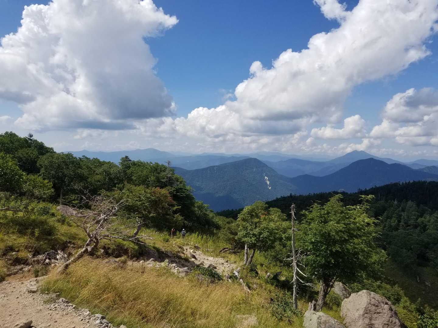 燧ヶ岳から至仏山・尾瀬方面がよく分かる‼️