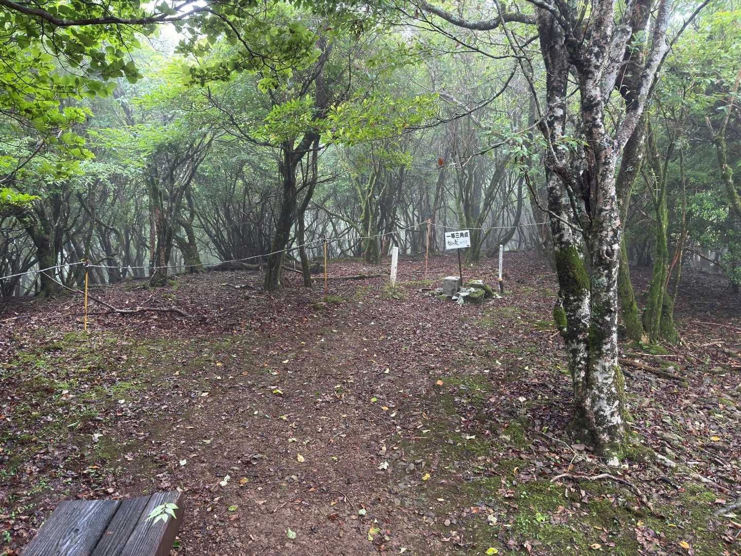 山頂着いた、何も無いな😯
