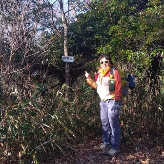 のんびりし過ぎて、思わずそのまま下山しそうになってしまいましたが、本日の目的地『高安山』をピークハントしておきました🙌