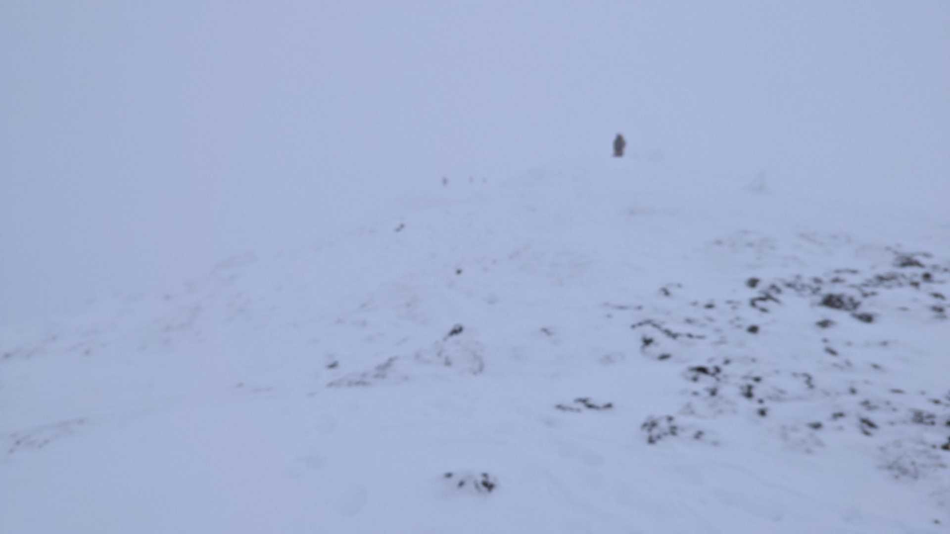 山頂手前、雪が飛ばされて岩が露出箇所が数カ所