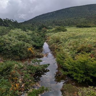 川の逆側
真っ直ぐ流れていきます