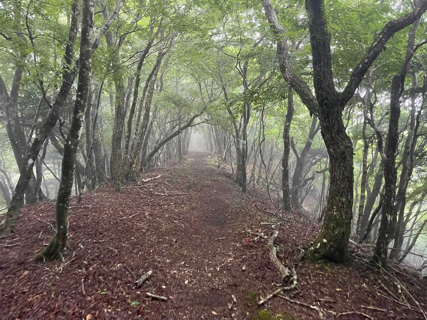 明神峠-明神山-湯船山-白クラノ頭 往復コースの写真