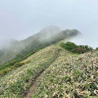 何も見えないので戻ります。