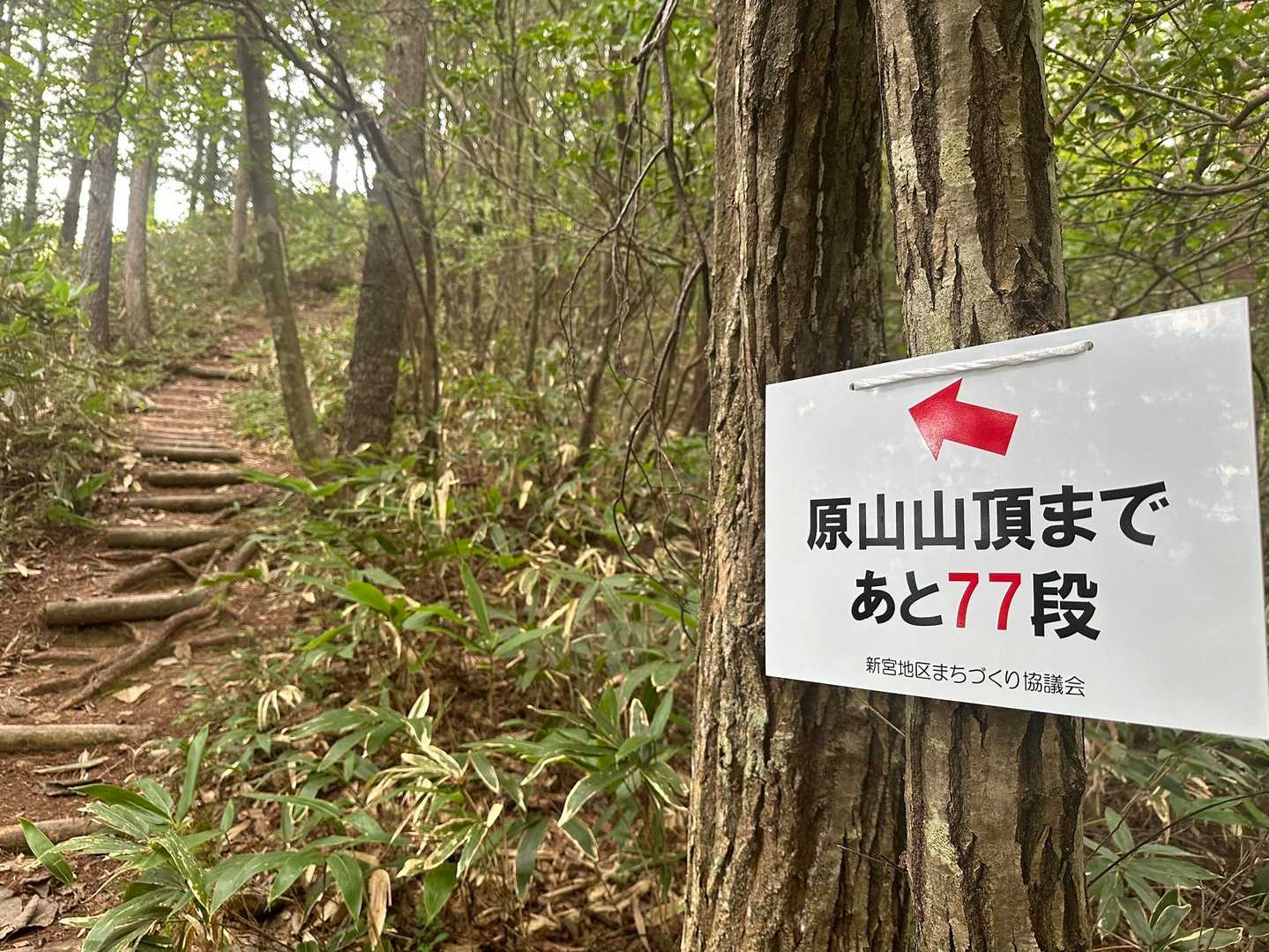 ため池-原山-松倉山-松倉遊歩道入口 縦走コースの写真