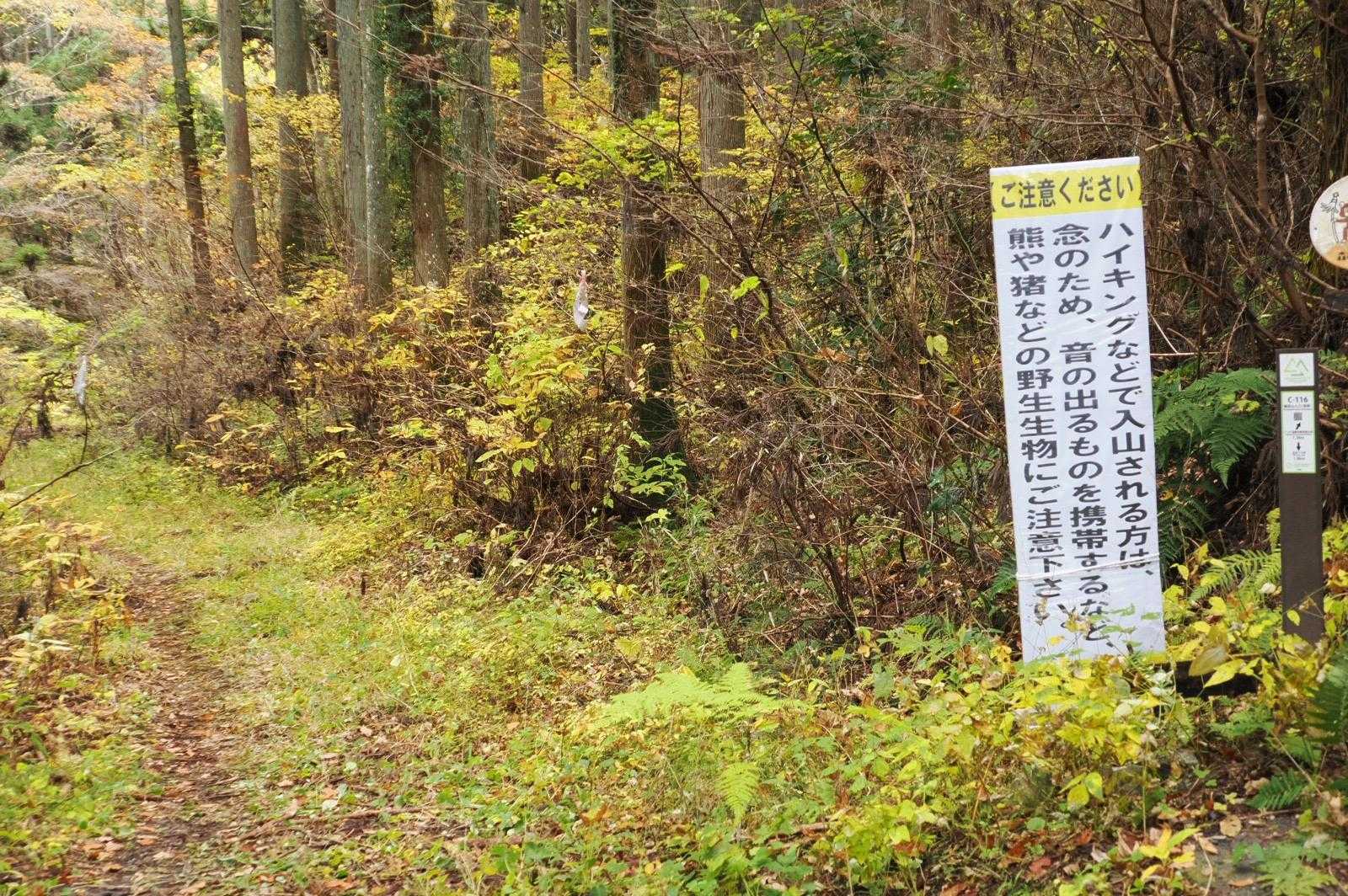 クマ鈴🐻をガンガン鳴らして歩きます🔔