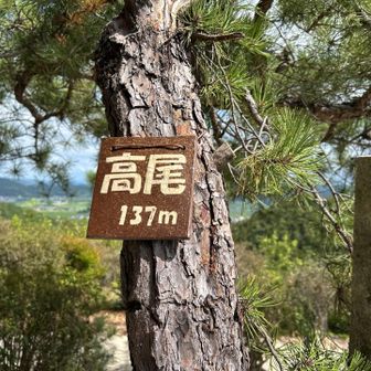 高尾山⛰️山頂
山が無くなってました😢