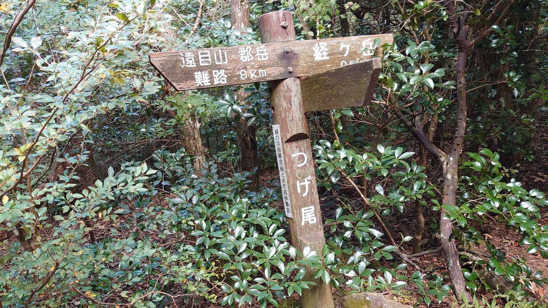 つげ尾に着き、経ヶ岳方向に上る。