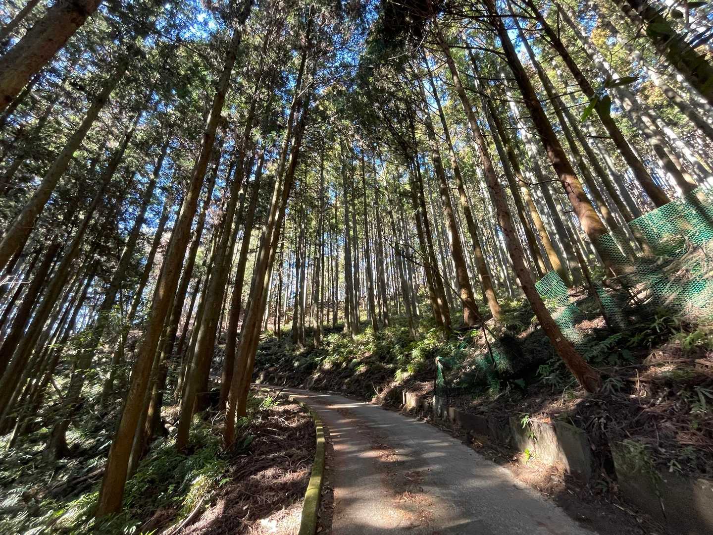 林道‼️今日はどんな登山かなぁ〜😄ワクワクする☺️