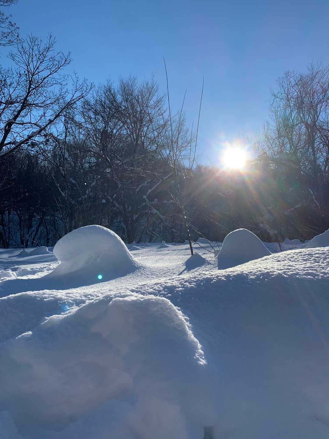 めっちゃお天気〜☀️