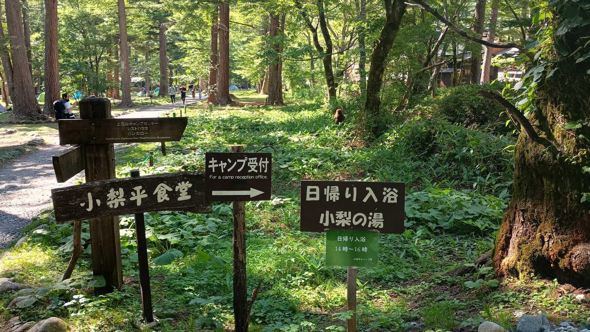 徳本峠小屋でデポさせていただいていた荷物を詰め直し、上高地へ下山。
小梨平の日帰り入浴でさっぱり♨️ありがたいです。