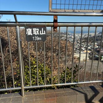 六浦駅からそこそこ登ってきましたが鷹取山は標高139m😅
