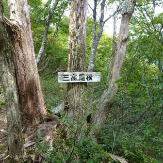 三高尾根方面へ