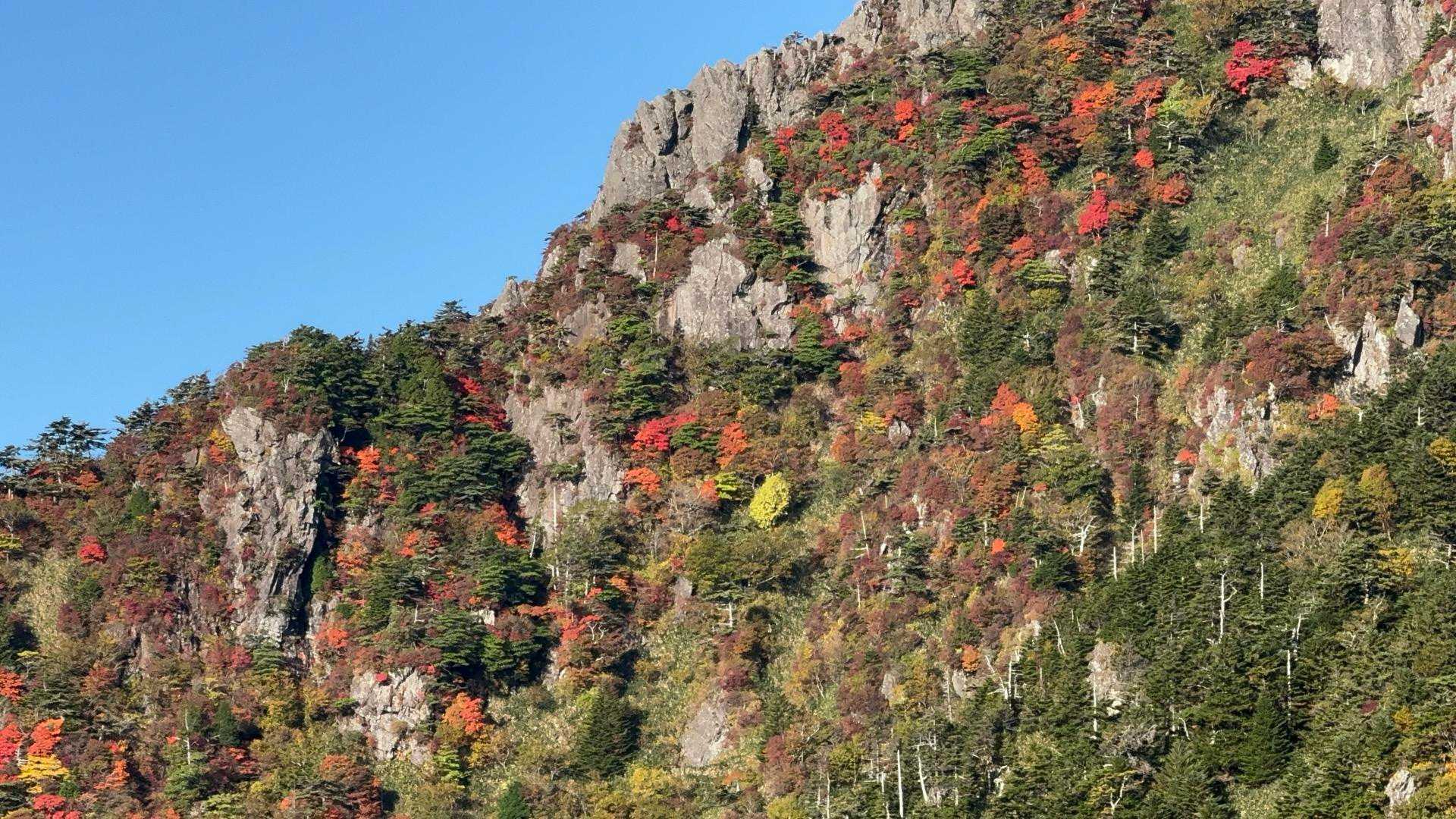 土小屋登山口-石鎚山 縦走コースの写真