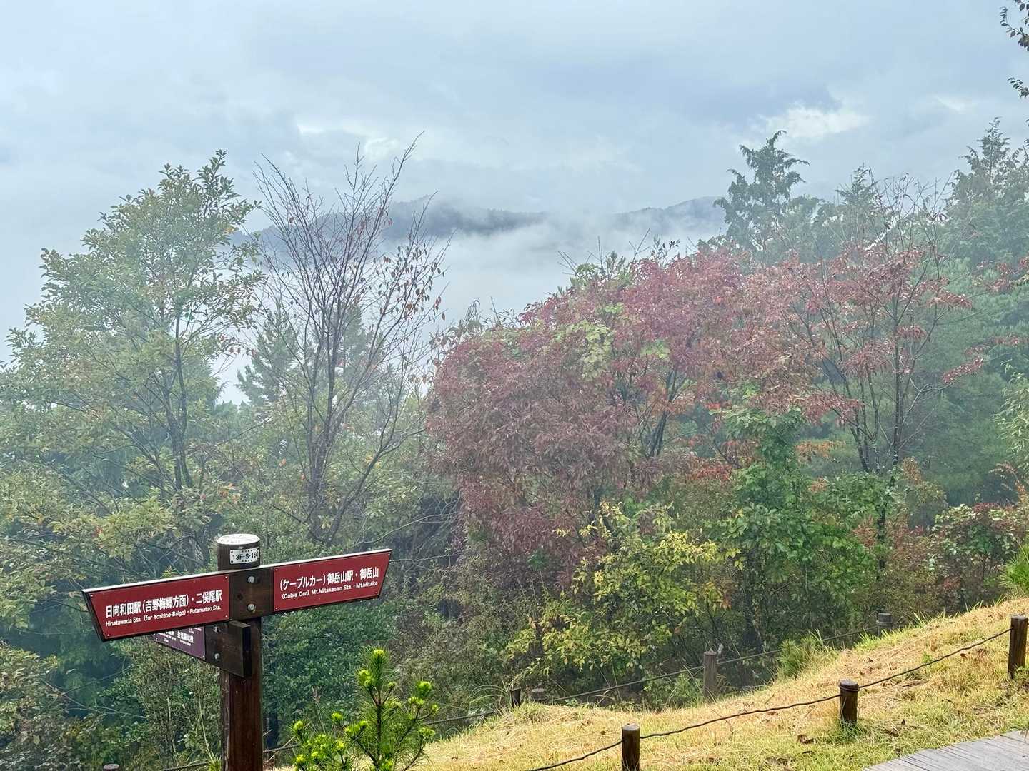大岳山が見えてきました。
晴れると富士山🗻見えるらしい。今度はお天気の良い日に来てみたいな