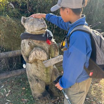 この熊さんの所で一瞬道迷い
熊さんの矢印が山北駅右に向いているので、しばらく道なりに…
いやいや、こんな舗装路降りた覚えがない！
牧場脇を通るコースは左でした。
地蔵岩コースと言うようです。
結局一旦熊さんに戻って地蔵岩コースで下山しました。

右の舗装路がどんなコースかわかりませんが、
左の地蔵岩コースはとてもいいです✨🍁✨
