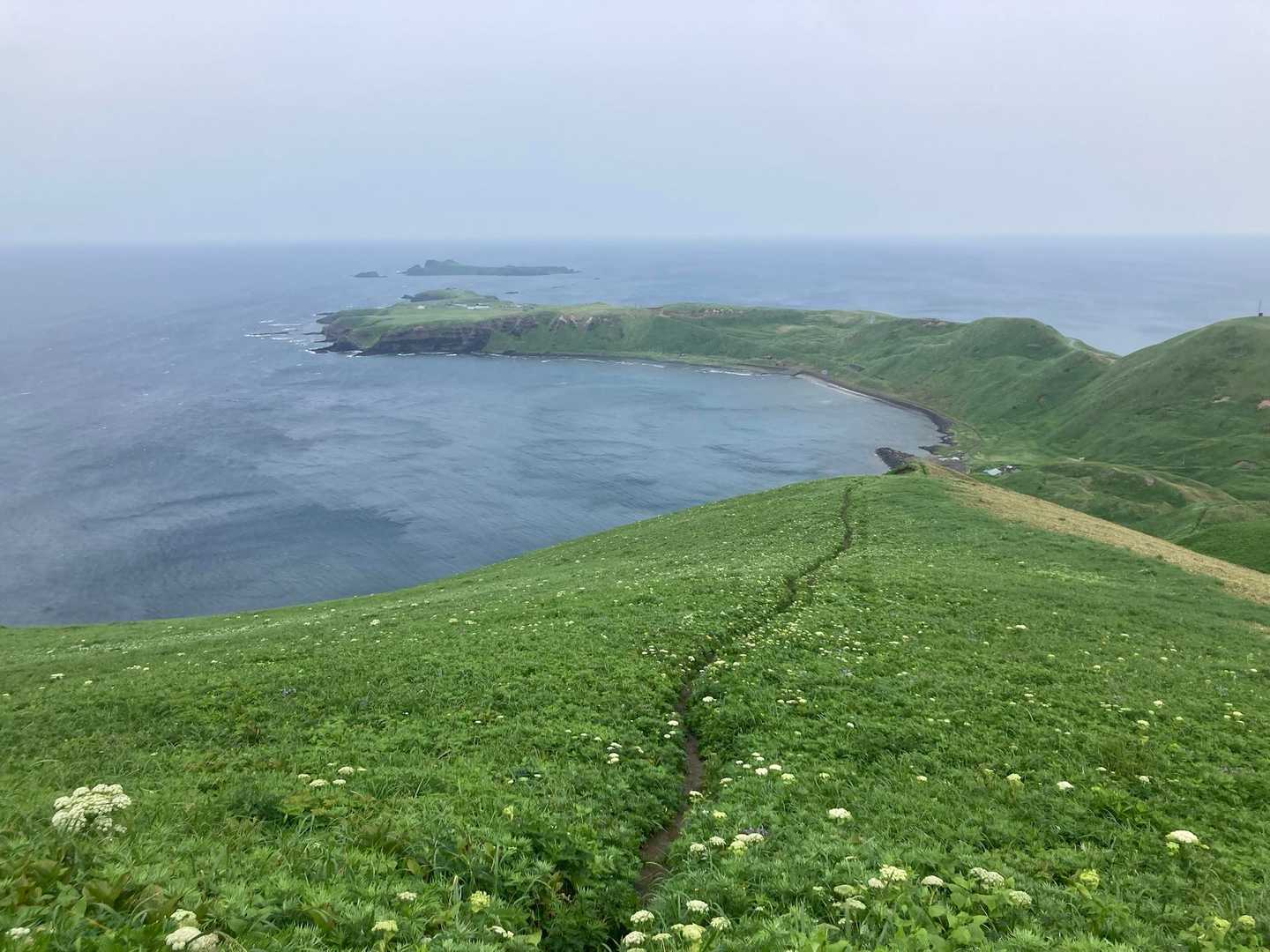 スコトン岬とトド島‼️