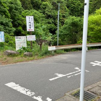最後はアスファルトの道
民家なので写真はないけど、お茶の木が段々に植えられてて綺麗でした