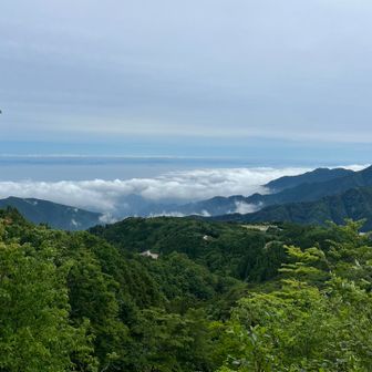 瀬戸内海