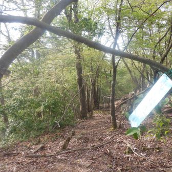 反射して読めないけれど大宝寺山、奥へ真っ直ぐ進めば稜線をたどってだけれど、清水山城跡へ行くのですこし先で左へ