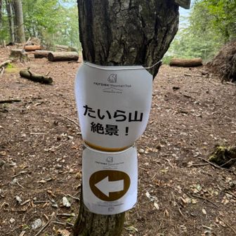 先週のトレラン大会の標識
