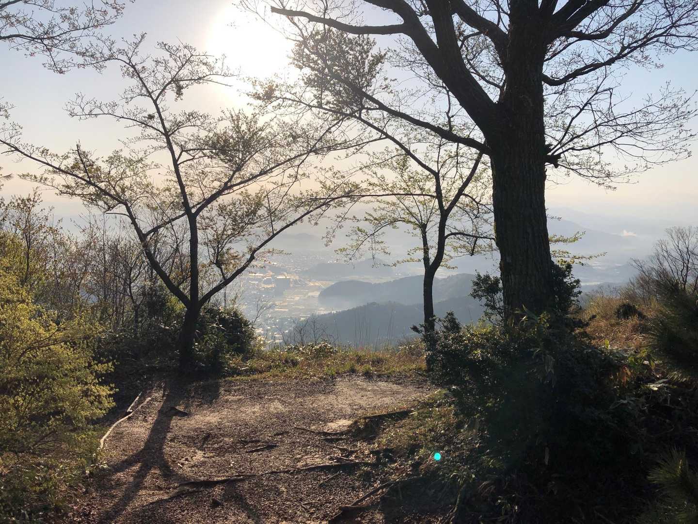 久しぶりの朝鬼👹