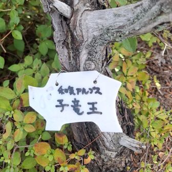 ラスト16座目