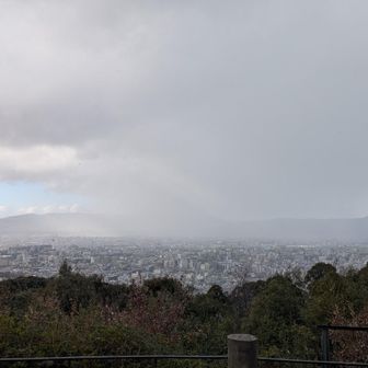 東山公園です京都タワーが見えてます
雪が降ってきました