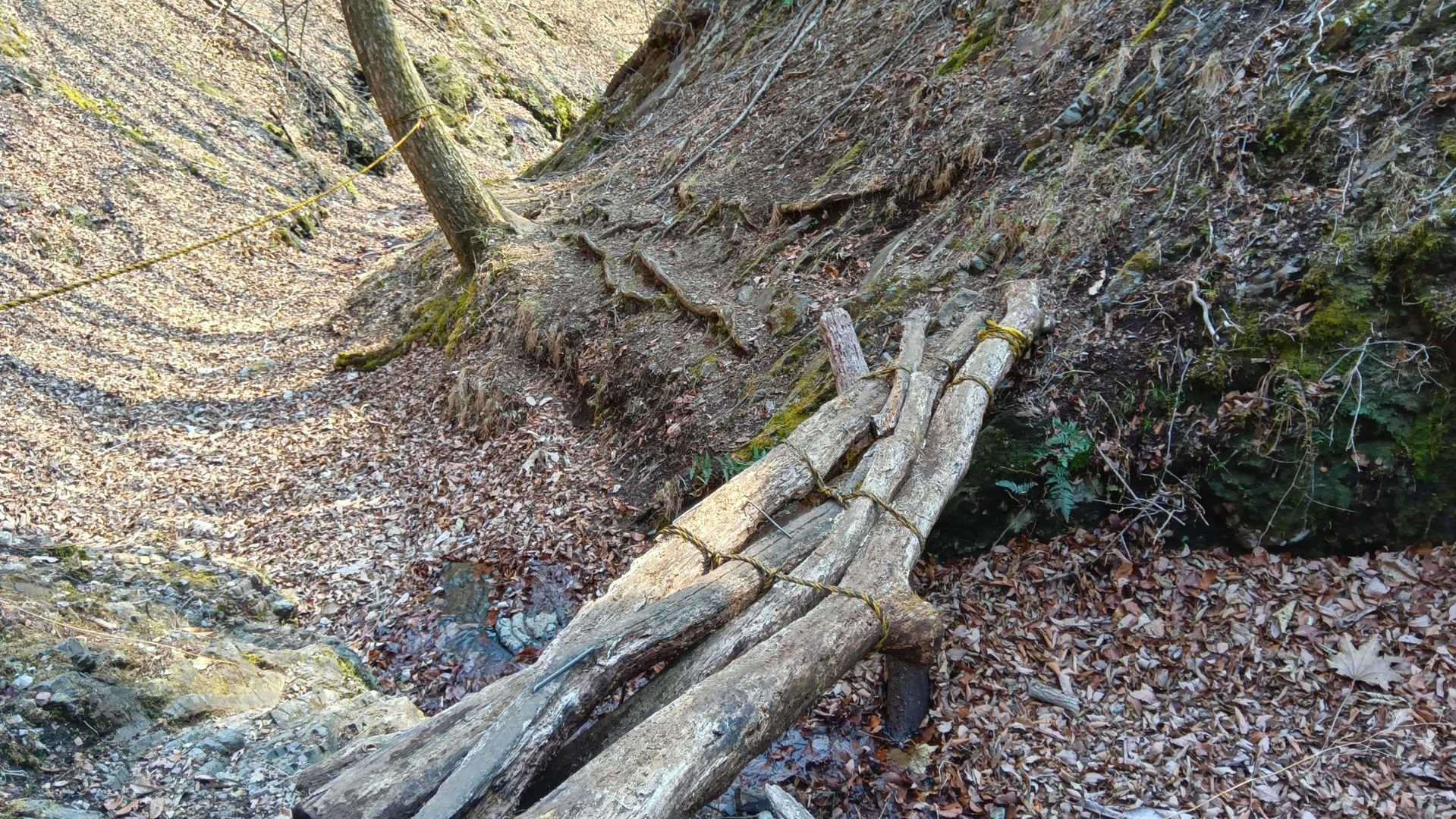 スリル満点の橋